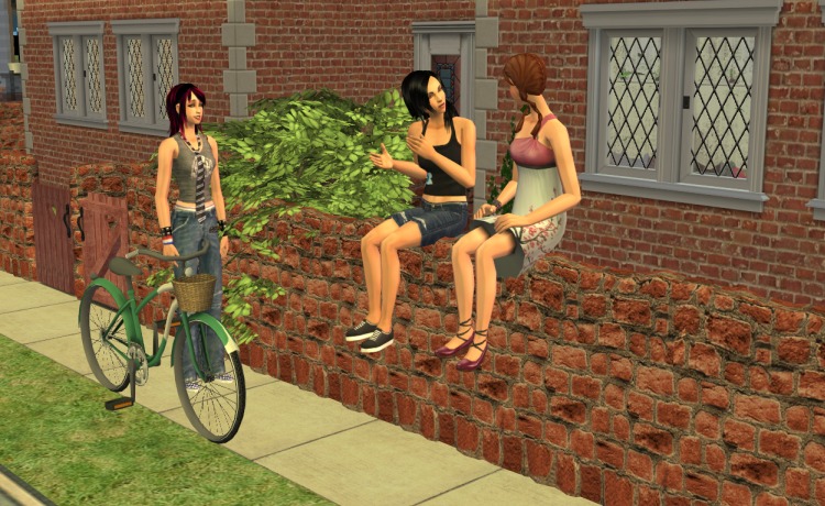 saffron and jasmine on a garden wall, melissa approaching with a bike
